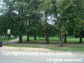 Yasushi Aoyama in Washington park